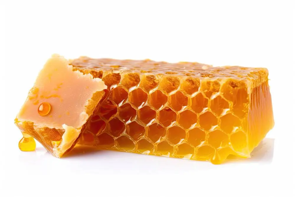 Prírodný liek na kožné choroby propolis