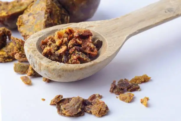 Propolis a jeho účinky na zdravie